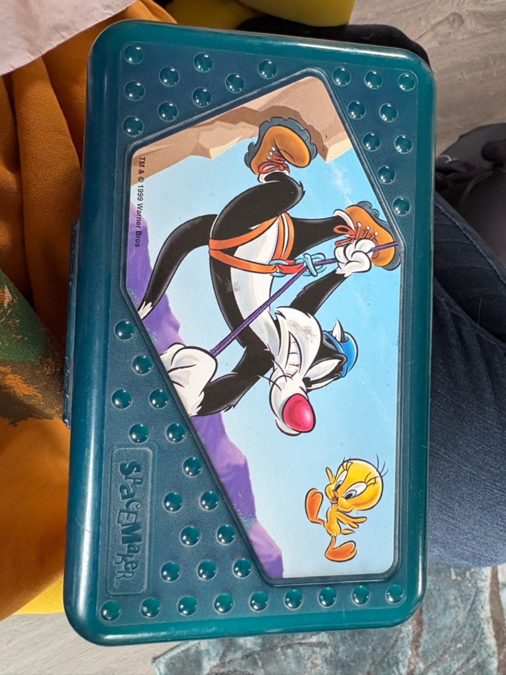 Vintage Spacemakers Tweety & Sylvester Graphic Pencil Box - Teal
